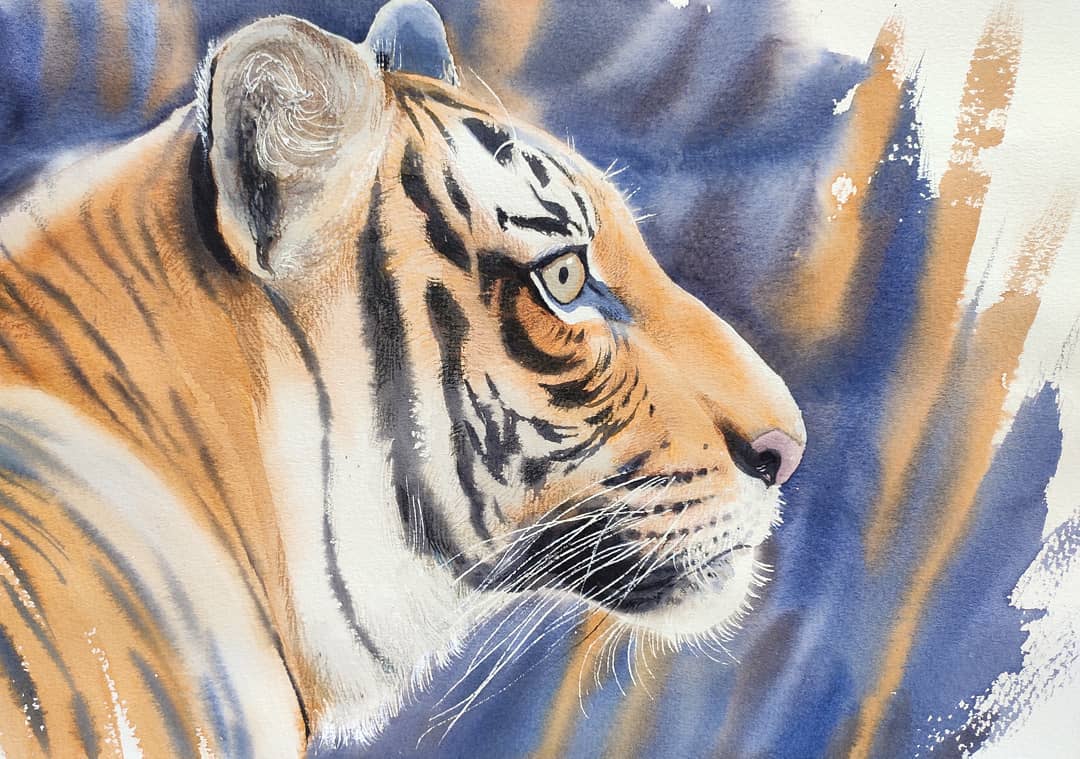 Retrato de un tigre en acuarela transparente (3 horas)