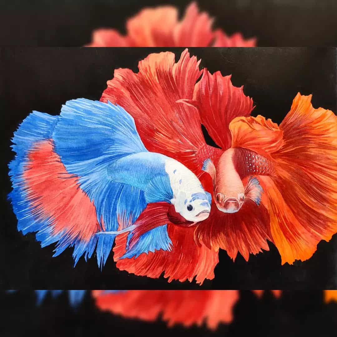 Los peces betta a la acuarela, con colores metálicos y tinta china.