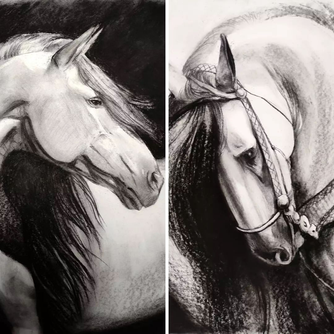 Retrato del caballo