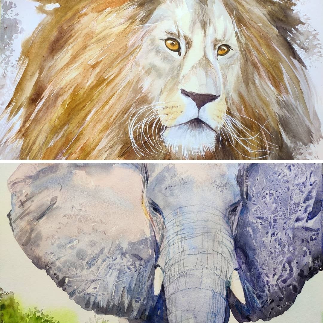 Retratos de elefante y leon en acuarela (4 horas)