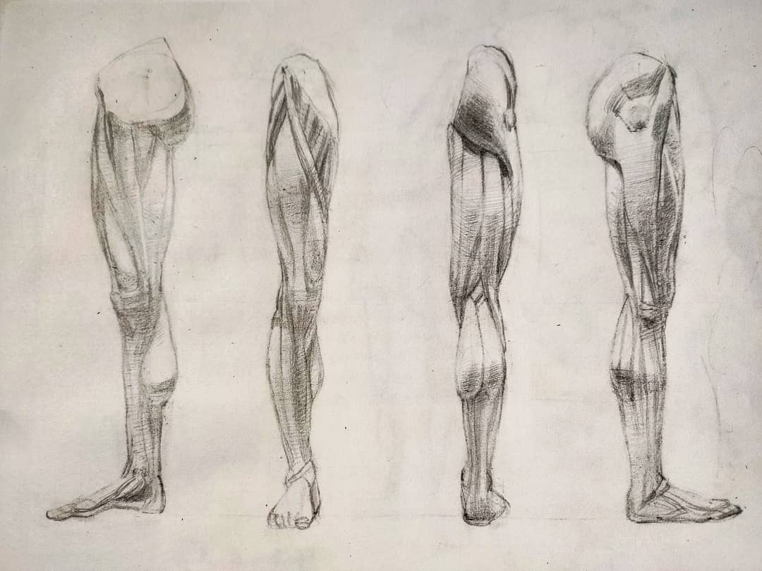 La anatomia de la pierna (3 horas)