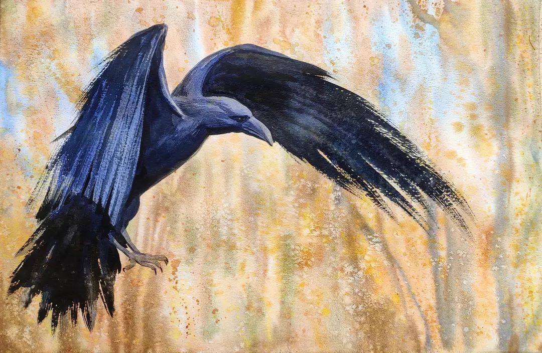 Pintando un cuervo con efectos especiales en acuarela (2 horas)