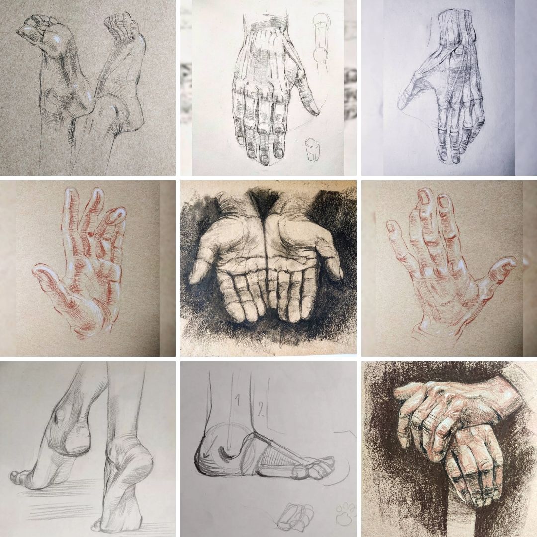 Anatomia de manos y pies en el dibujo (15 horas)