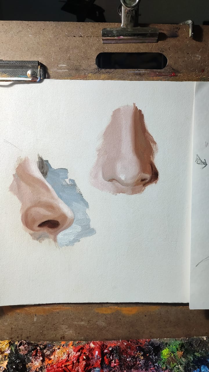 La anatomía de la nariz al óleo (2 obras)