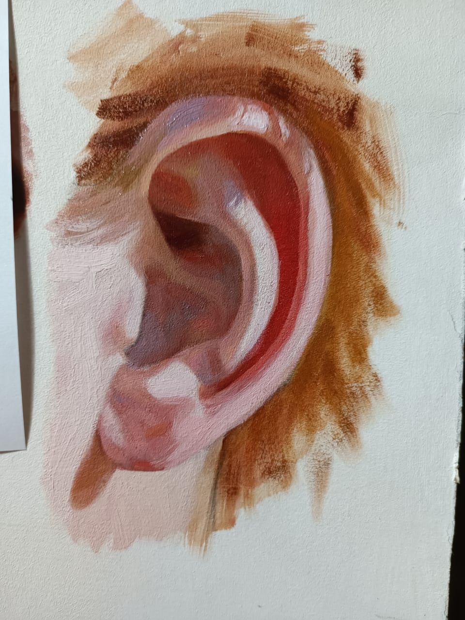 Las orejas al oleo (anatomia y pintura)