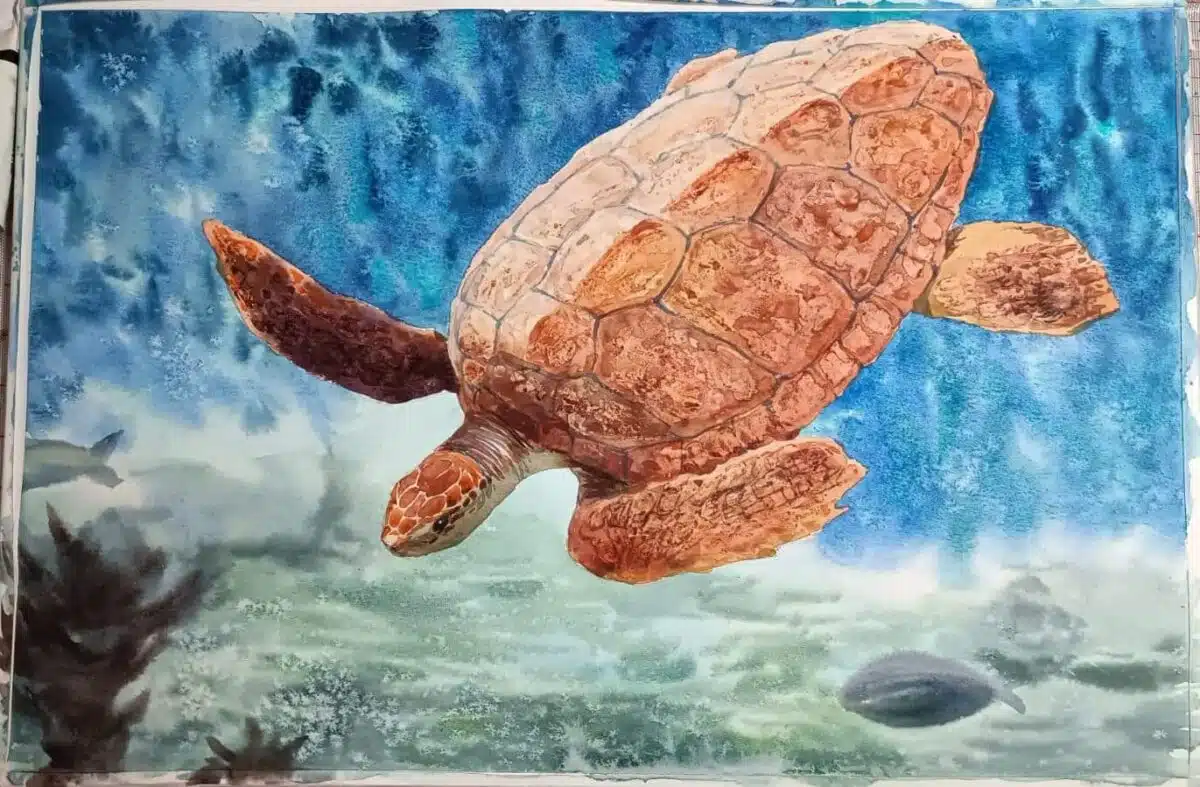 La tortuga con texturas (4 horas)