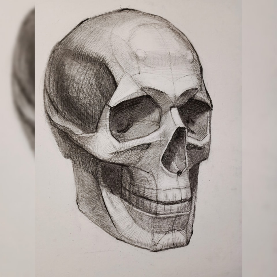 El cráneo en el dibujo estructural ruso (4 horas)