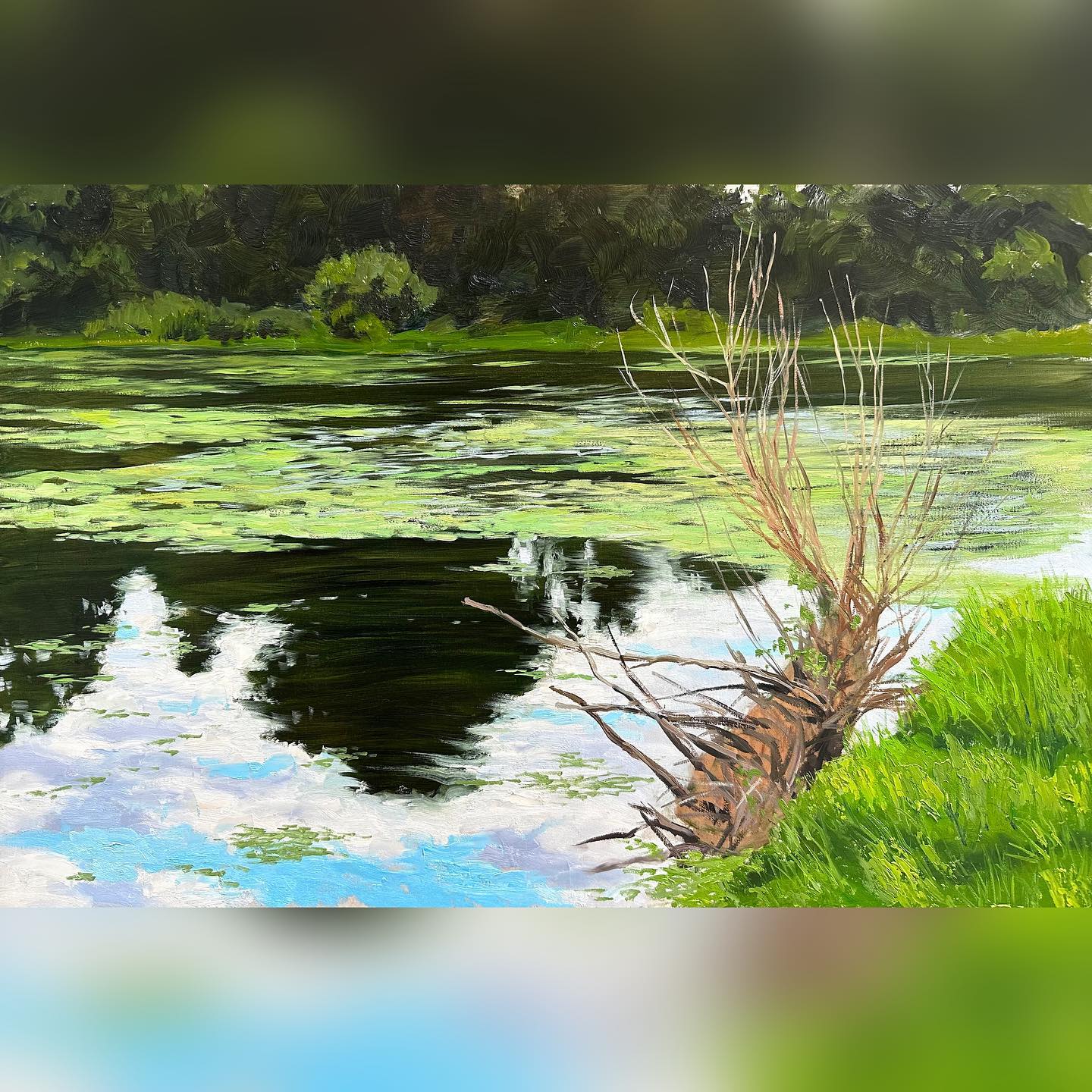 El estanque (transparencia y opacidad de pigmentos)