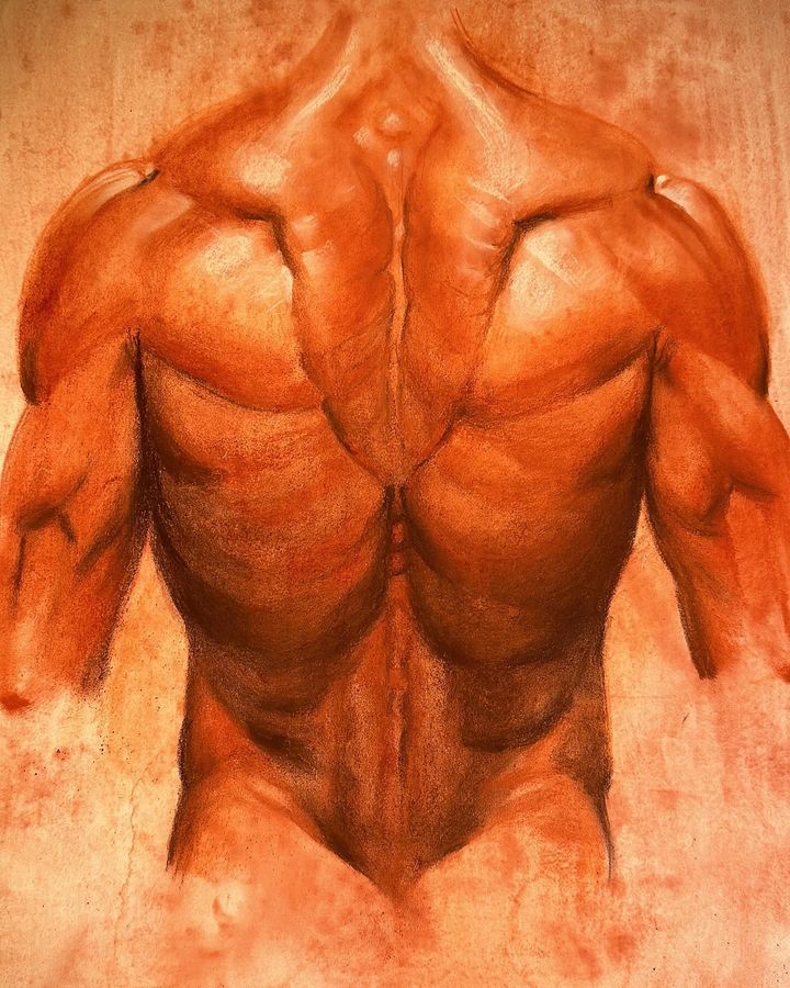 Espalda masculina (anatomía y práctica)