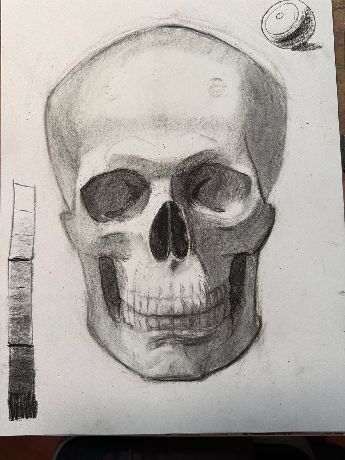 El cráneo y su anatomía, de frente (4 horas)