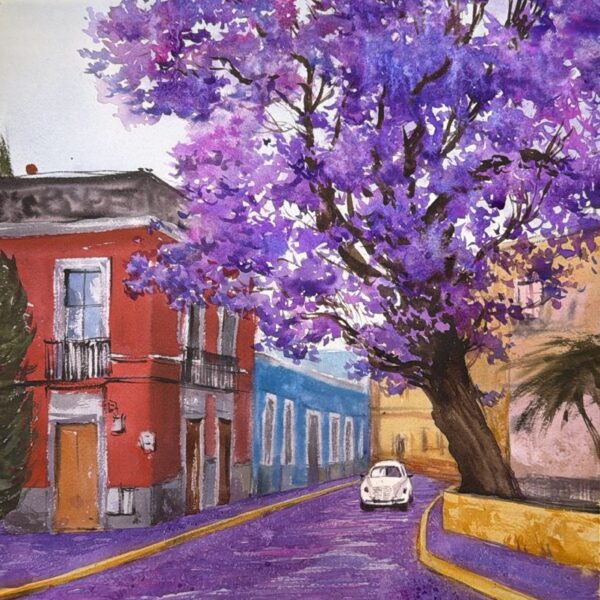 Jacarandas (3 horas)