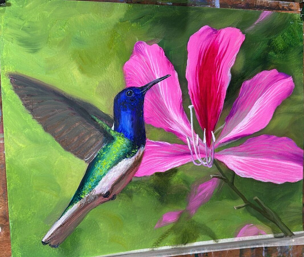 Colibrí y para de vaca al óleo (6 horas)