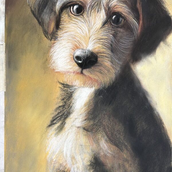 Perrito blanco_negro al pastel (4 horas)