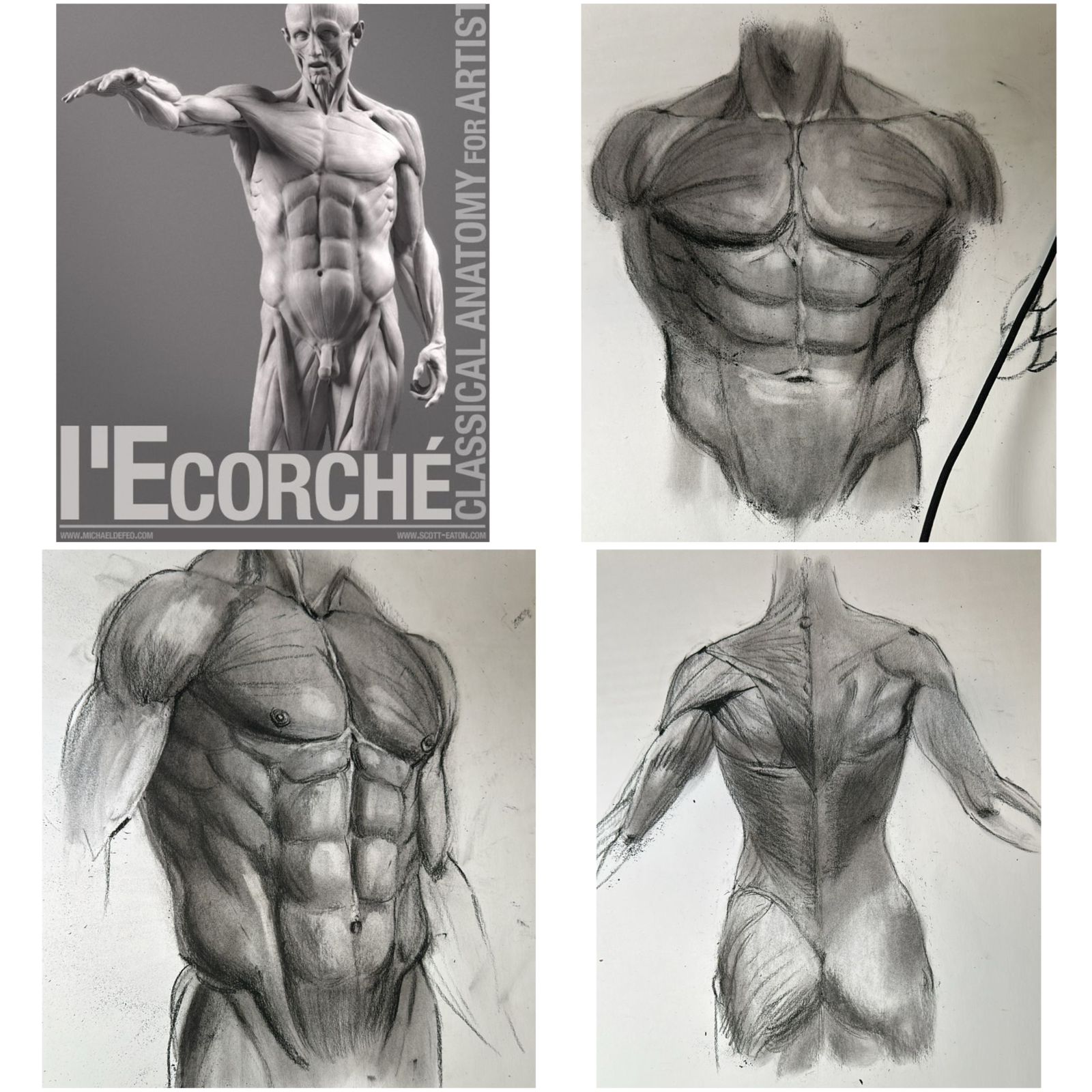Como dibujar las manos
